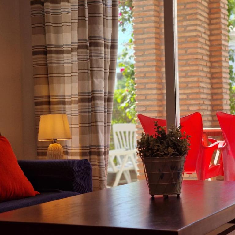 Sun, Beach Spa All The Year beautiful place to enjoy in summer or winter - Apartamento - 15