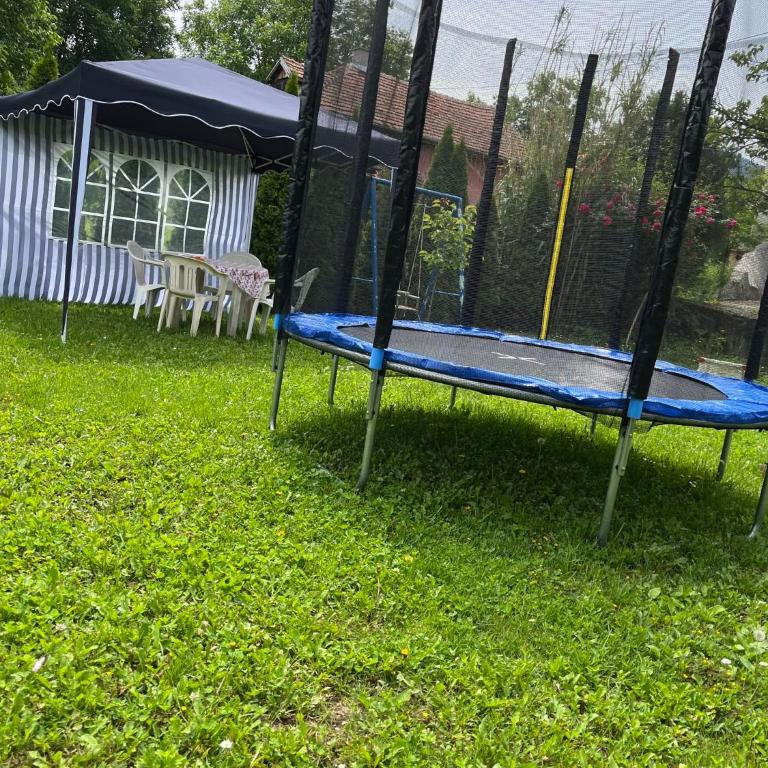 Studio Milisavljevic - Apartman sa 1 Spavaćom Sobom - 12
