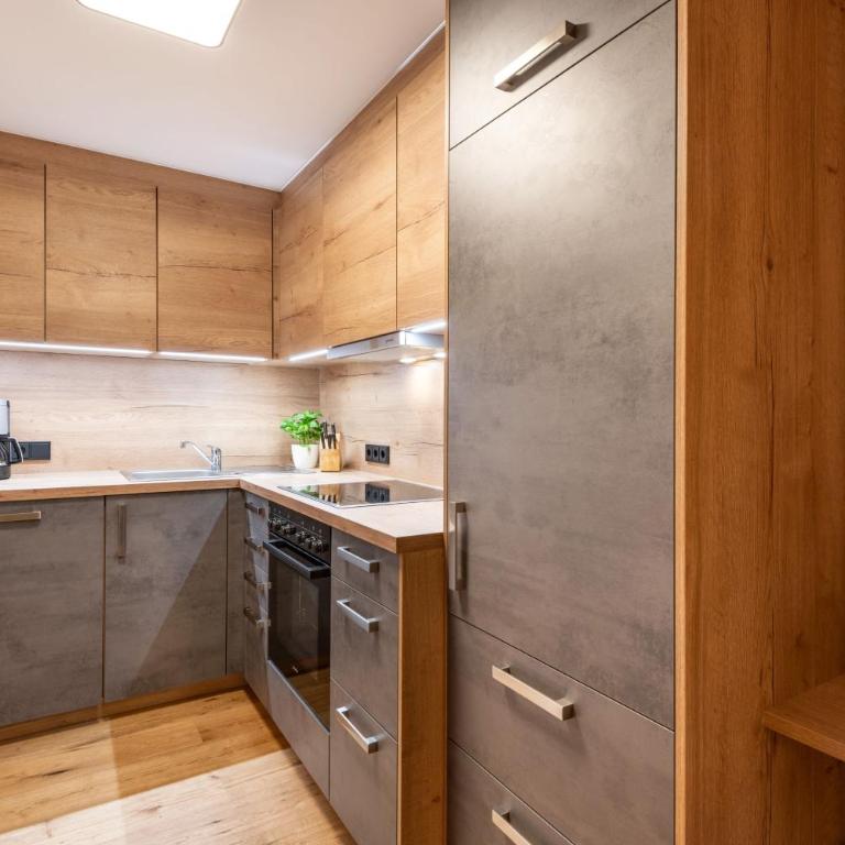 Pension Hinterholzer Apartments und Zimmer - Studio-Apartment mit Balkon - 7