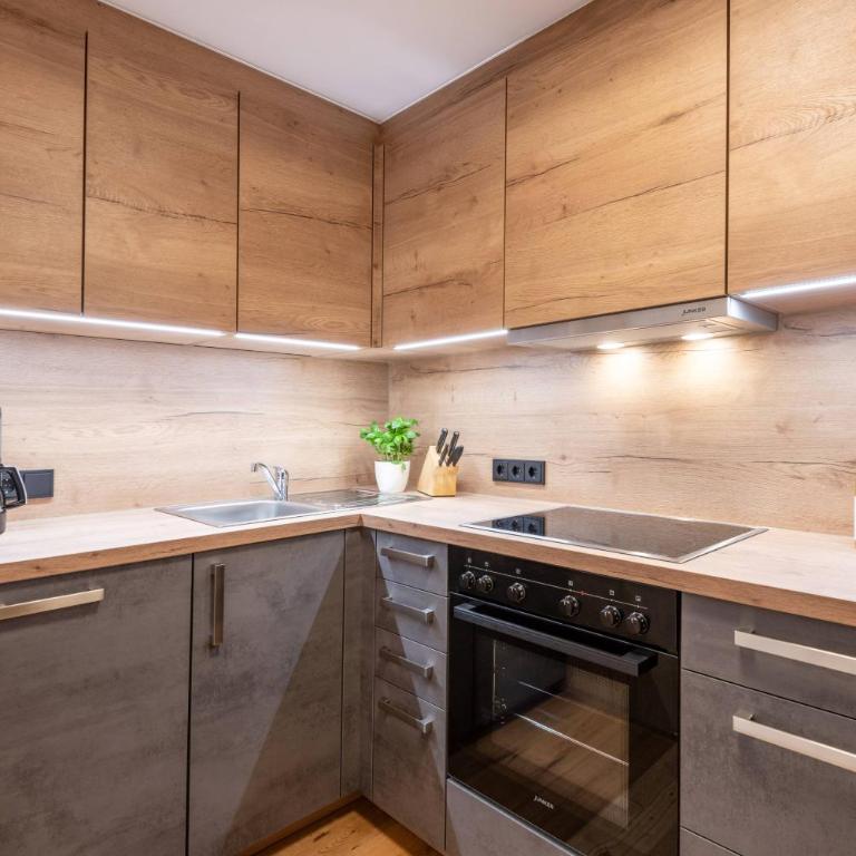 Pension Hinterholzer Apartments und Zimmer - Studio-Apartment mit Balkon - 8