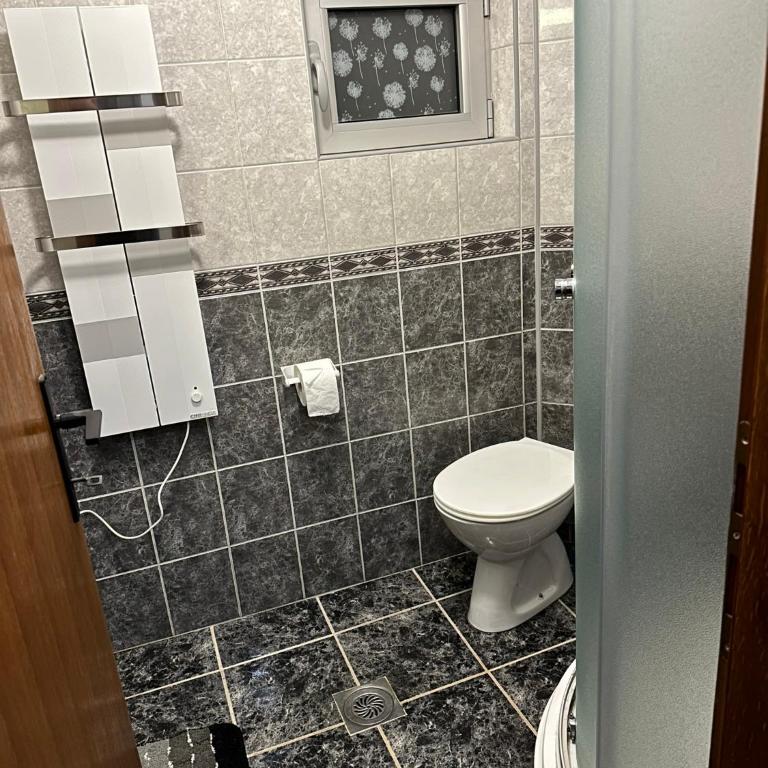 Studio Milisavljevic - Apartman sa 1 Spavaćom Sobom - 10