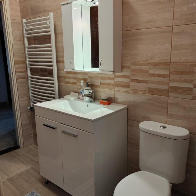 Apartmani Petrović - Apartman sa 2 Spavaće Sobe - 16