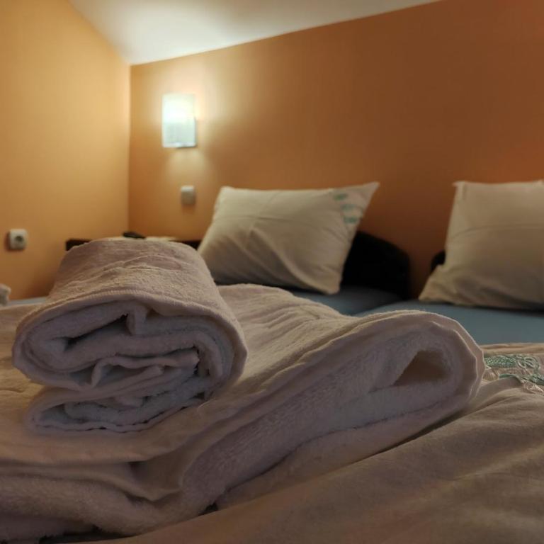 Apartmani Petrović - Apartman sa 2 Spavaće Sobe - 15
