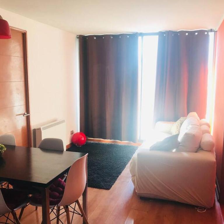 Acogedor departamento, linda vista a la cordillera - Apartamento de 2 dormitorios - 14
