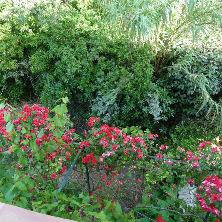 Appartement indépendant dans villa, entre Fréjus et St Raphaël - Apartment with View and Balcony - 20
