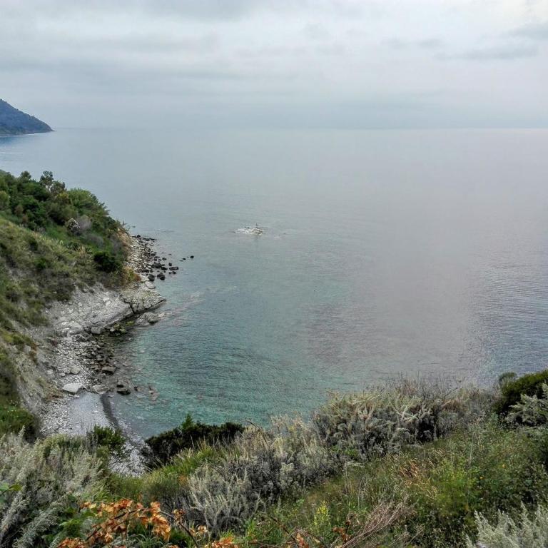 Panoramic on Port near Center "The Beach and The Cliff" 3 - Appartamento con 1 Camera da Letto e Vista Mare - 43