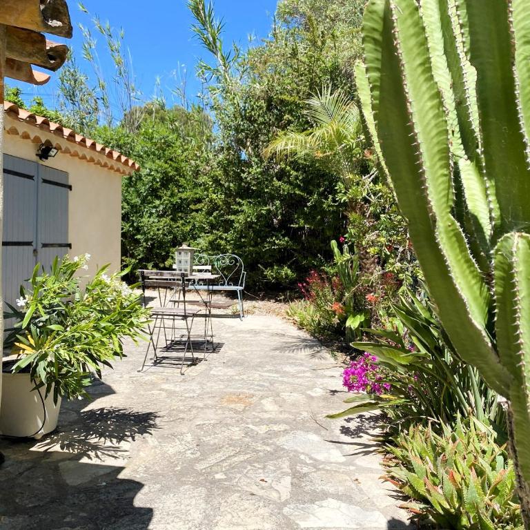 Villa Provençale avec piscine privative - Villa 3 Chambres - 7