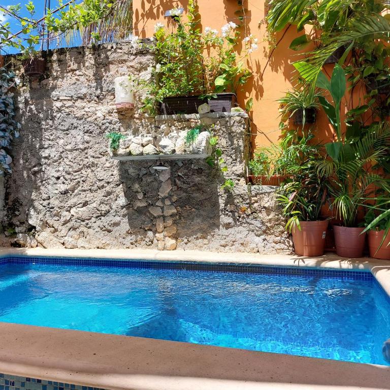 5 Estudio Planta Alta con terraza - One-Bedroom Apartment - 1