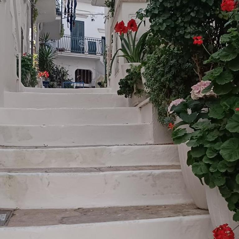 La Chicca di C.Cavour - Appartamento con Terrazza - 19