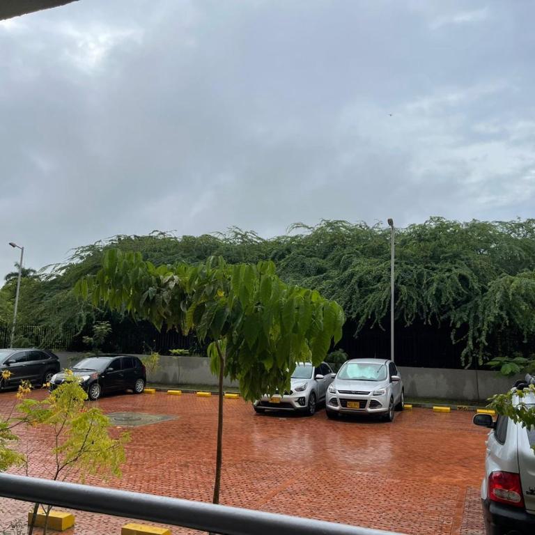 peña azul la morada Sánchez - Apartamento de 3 dormitorios - 3