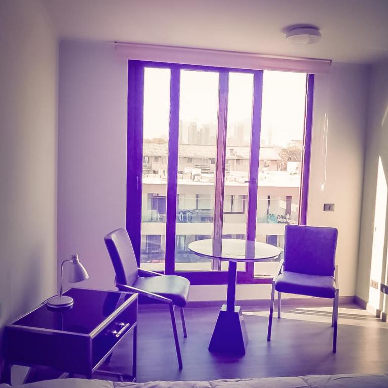 Departamento en Barrio Yungay de 1 ambiente - Apartamento de 1 dormitorio - 20
