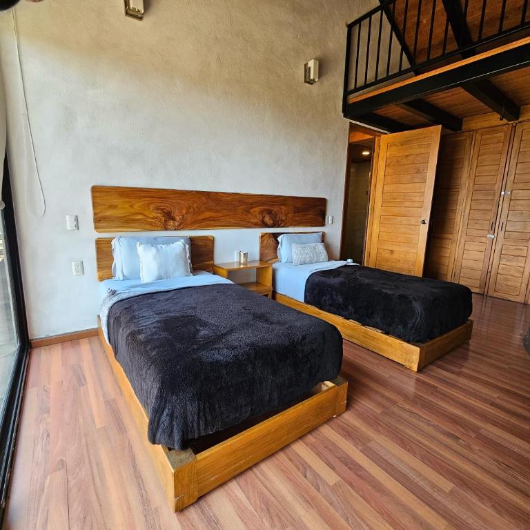Casa Alrededor de un Pino - Casa de 3 dormitorios - 25