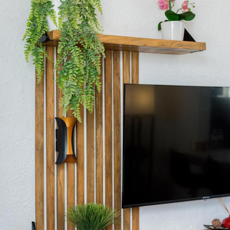 Dream Apartment Balcon Colibri - One-Bedroom Apartment - 4