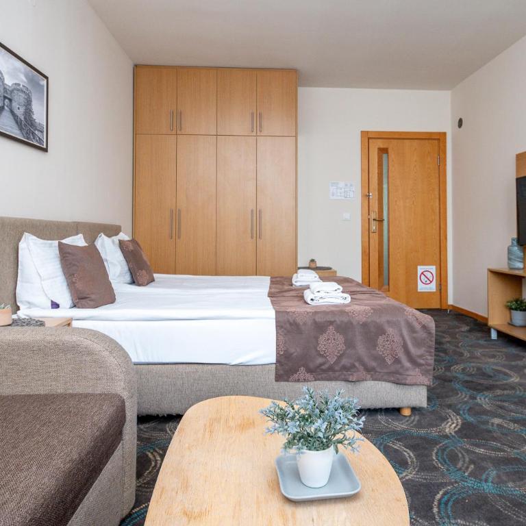 Top Central Apartments - Apartman sa 1 Spavaćom Sobom - 9