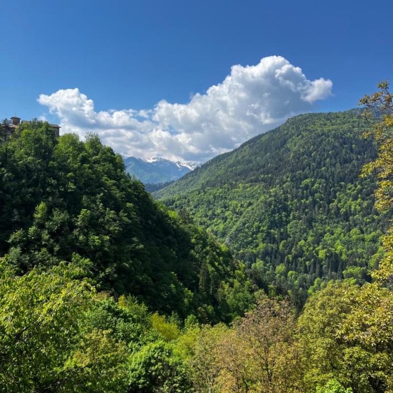 Terme di Comano - A due passi dalla Natura & Dolomiti - Estudio con balcón - 7
