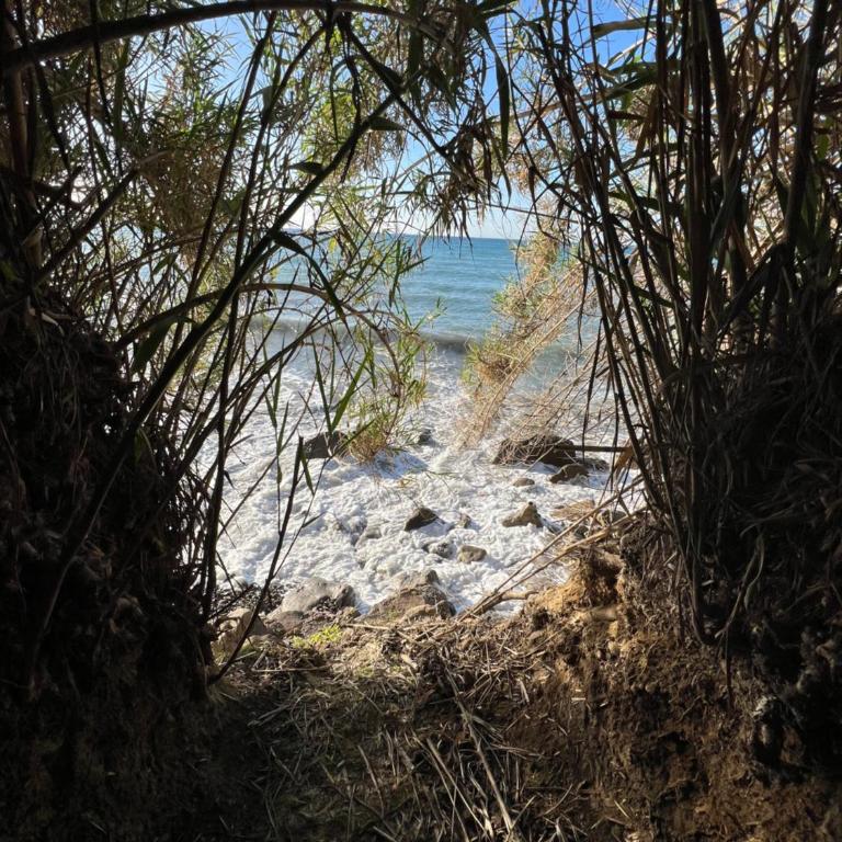 Appartamento un mare di fiori - Appartamento con Terrazza - 8