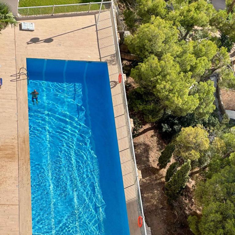 BALCÓN AL MEDITERRÁNEO Y SKYLINE DE BENIDORM - Apartamento de 1 dormitorio - 47
