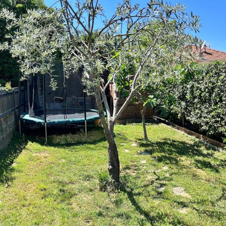 La Missidi - Belle villa provençale avec piscine - Villa - 15