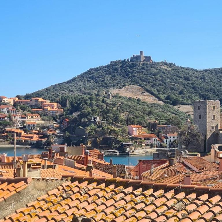 Maison T3 rénovée à Collioure, 2 chambres, balcon - FR-1-309-457 - Casa - 3