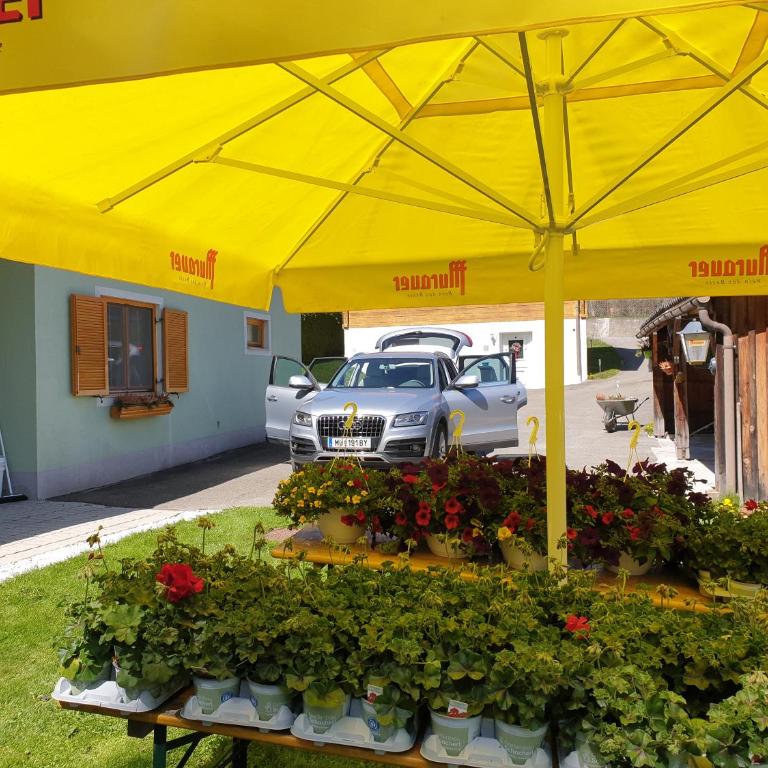 ferienhausfindling St.Lambrecht - Ferienhaus - 13