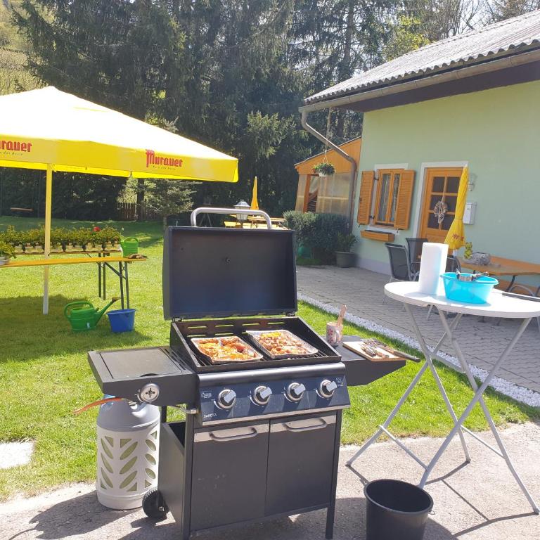 ferienhausfindling St.Lambrecht - Ferienhaus - 27