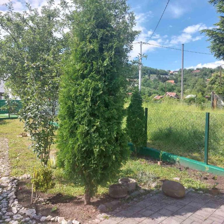 Pansion Panonika - Apartman sa 2 Spavaće Sobe - 17