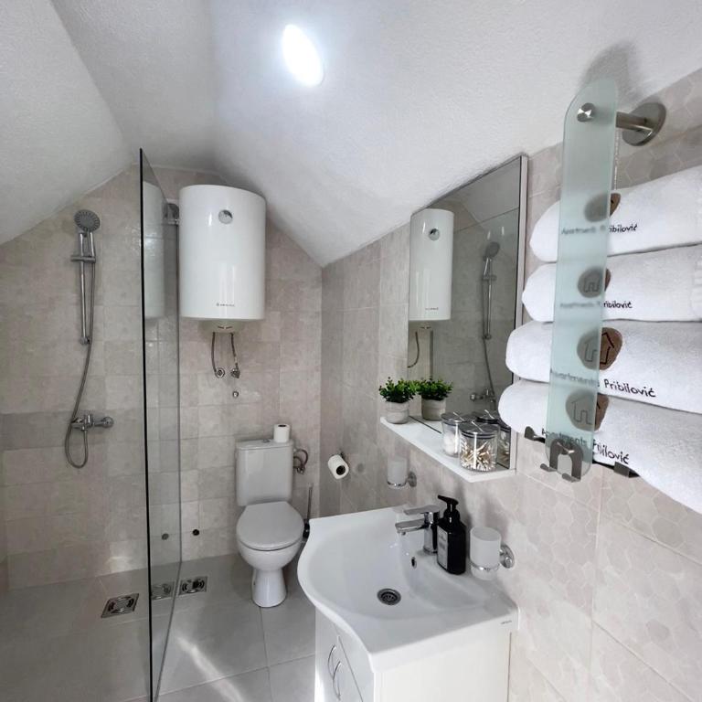 Apartments Pribilovic - Deluks Apartman - 37