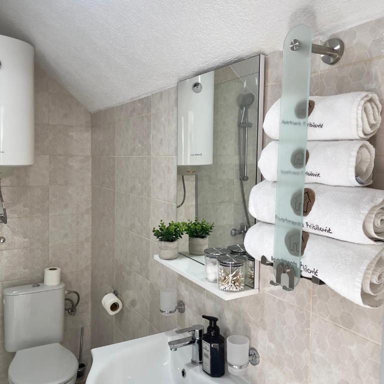 Apartments Pribilovic - Deluks Apartman - 38