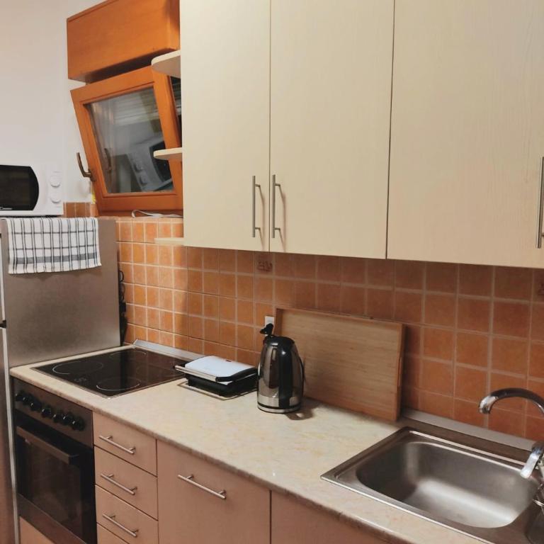 DukeStepa - Apartman sa 1 Spavaćom Sobom - 5