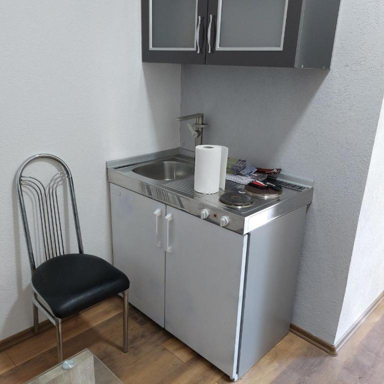 Pansion Panonika 2 - Apartman sa 1 Spavaćom Sobom - 4