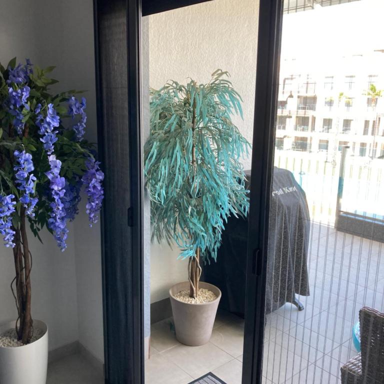 Oasis Beach 13 Casa del Guardamar - Appartement 1 Chambre - 10