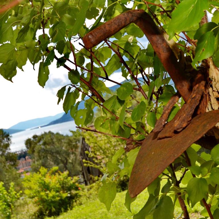 Boka View by Roši - One-Bedroom House - 27