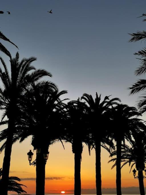 Luminoso ático cerca de la playa con piscina y garaje - Apartamento de 2 dormitorios - 27