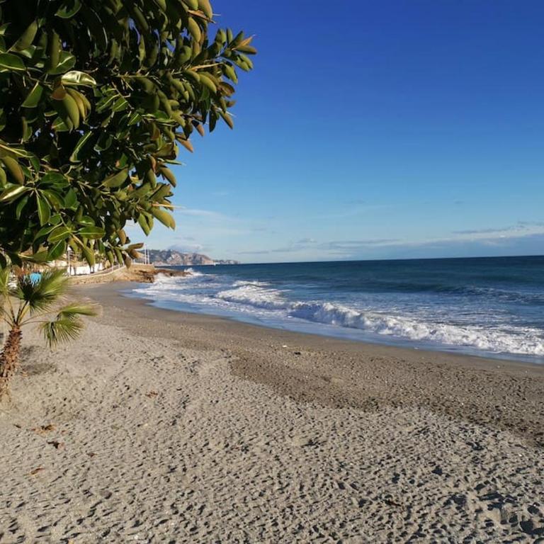 Luminoso ático cerca de la playa con piscina y garaje - Apartamento de 2 dormitorios - 31