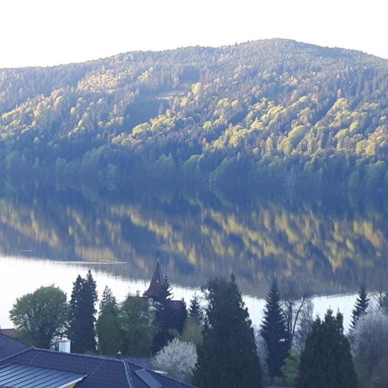 Ferienwohnung Energie Oase - Apartment mit Seeblick - 36