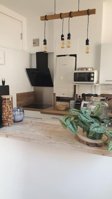 Mon Jardin Secret Marseillais avec terrasse ensoleillée - Appartamento con 2 Camere da Letto - 6