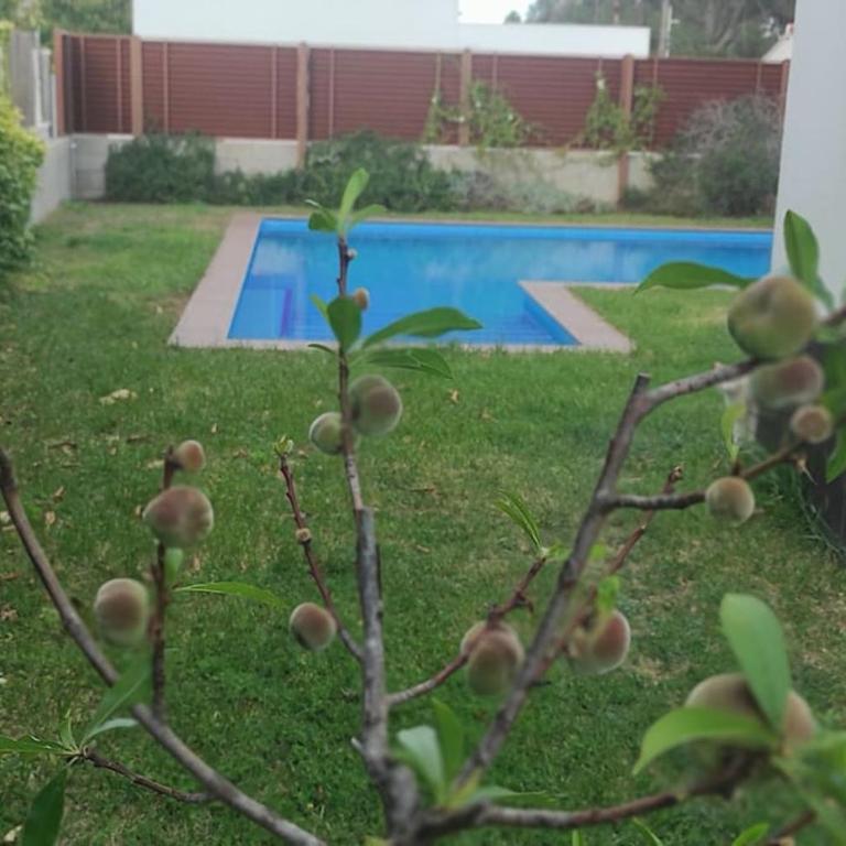 Villa Xauxa - Vida mediterránea - Villa de 3 dormitorios - 23