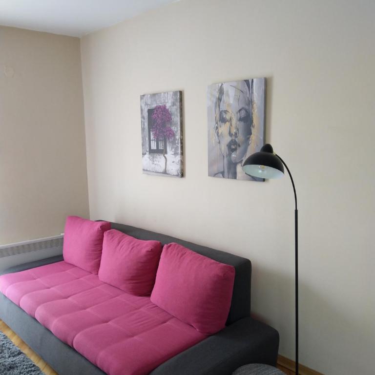 Apartman Jelena Anžujska - One-Bedroom Apartment - 6