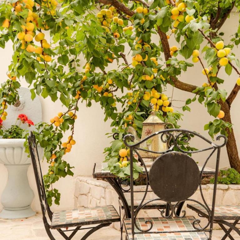 Dimora le Camelie - Appartamento con 1 Camera da Letto - 20