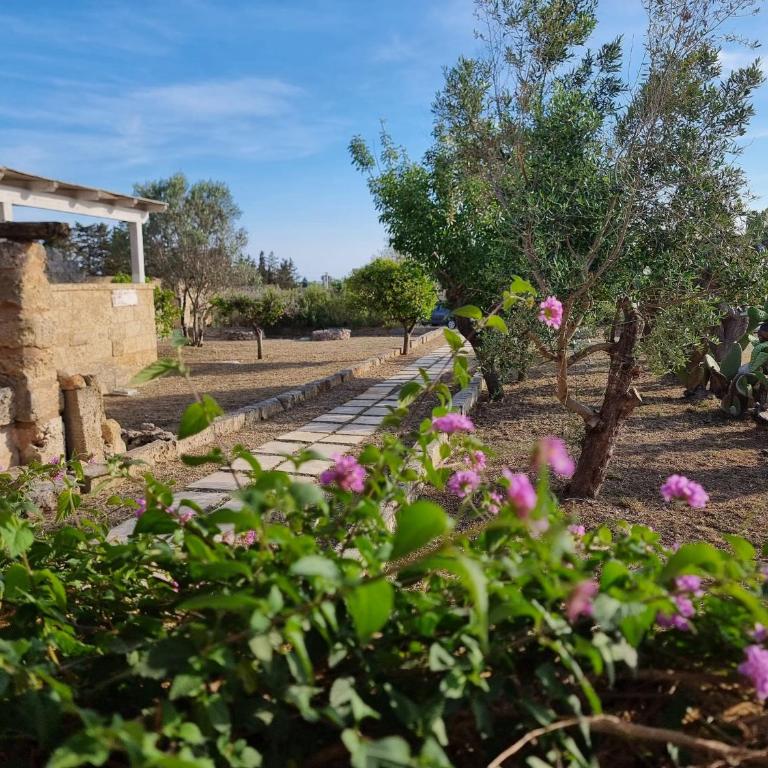 Li Monaci - GALLIPOLI - EcoBio RELAIS - Camera Queen con Vista Giardino - 4