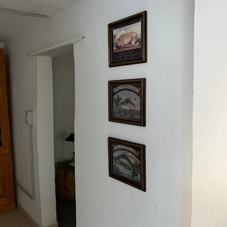 MAITEN Esquel - Casa con 1 dormitorio - 3