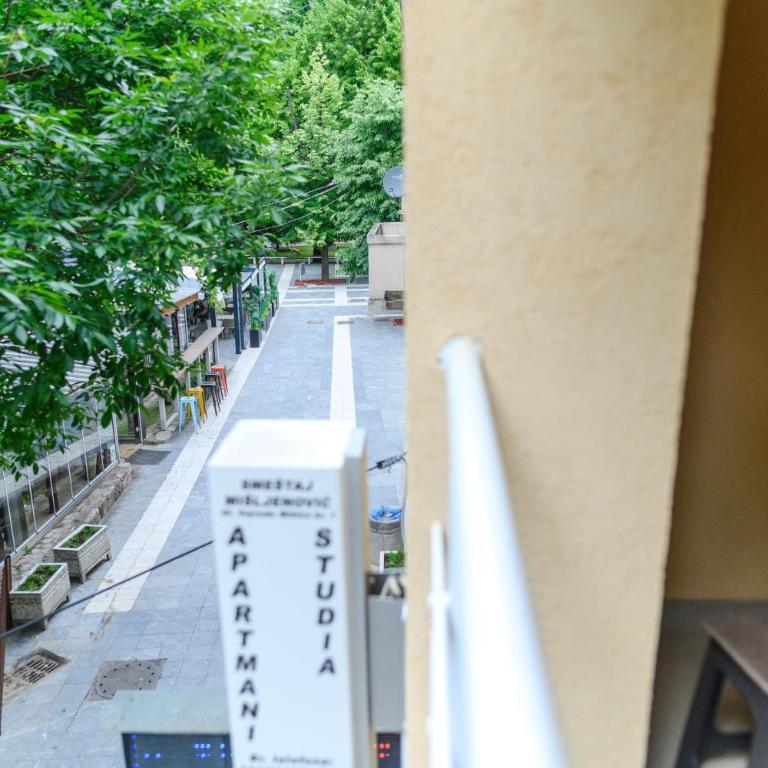 Vila Misljenovic, u centru Sokobanje, na pesackoj zoni - Deluks Apartman - 5
