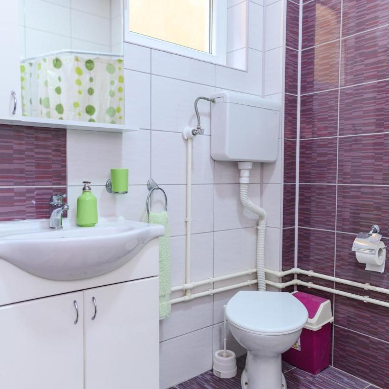 Vila Misljenovic, u centru Sokobanje, na pesackoj zoni - Deluks Apartman - 22