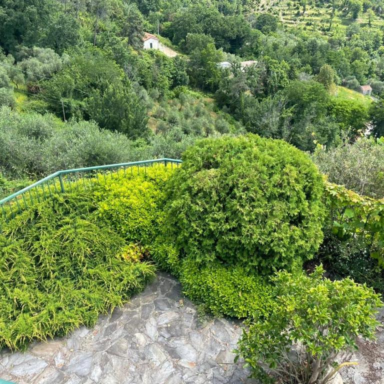Corner of Paradise Moneglia - Casa Vacanze - 72