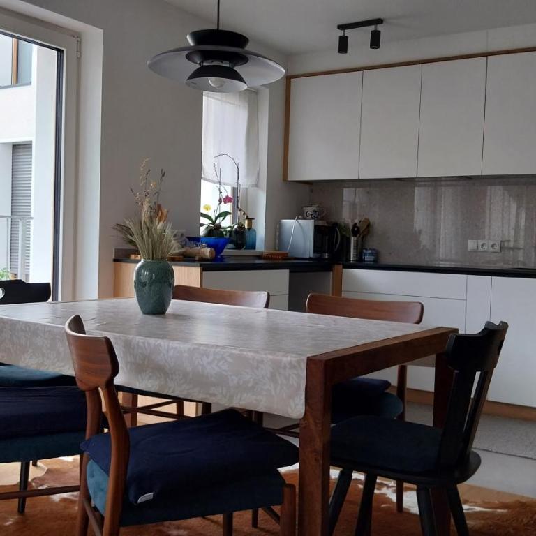 BioTop Appartement Kronplatz - Appartamento con Terrazza - 17