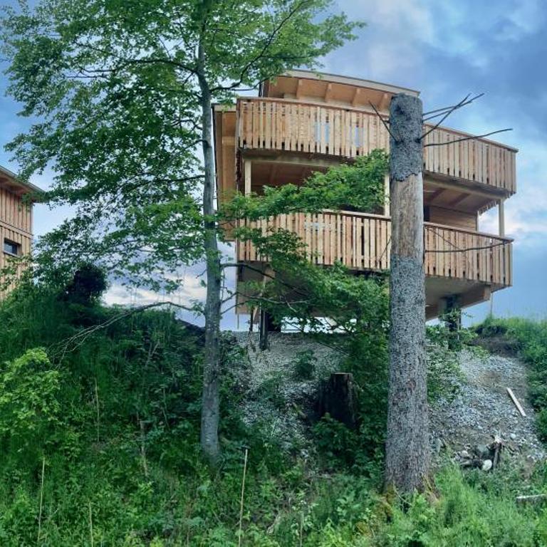 Wald ist Zukunft - Baumhaus Eule - 1