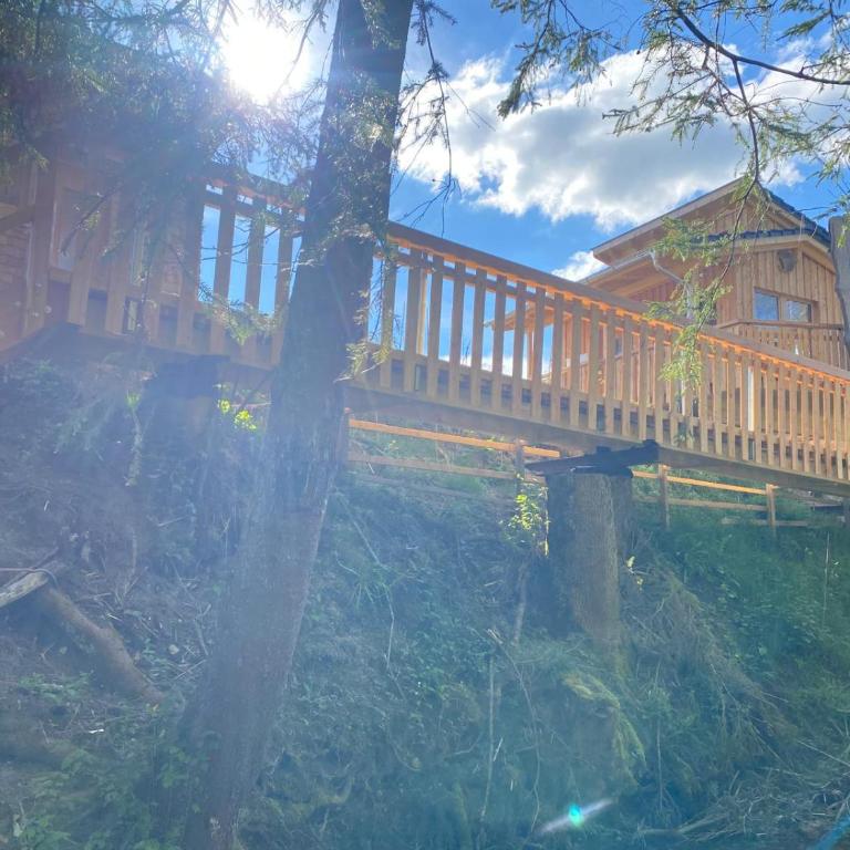 Wald ist Zukunft - Baumhaus Eule - 8