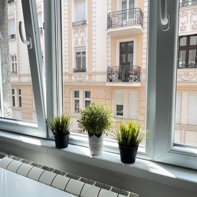 Cozy Stay Apartment - Apartman sa 2 Spavaće Sobe - 7