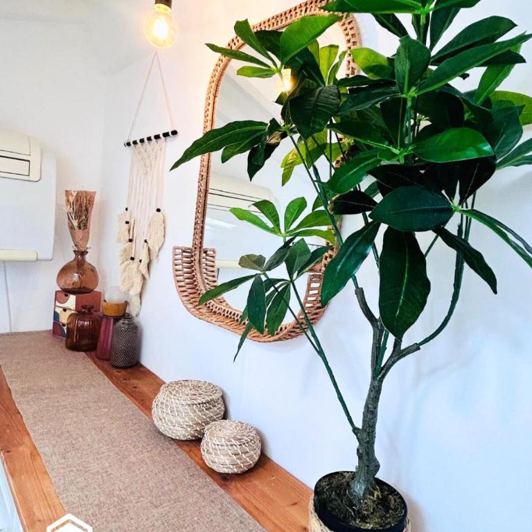 Little Nest - Old Town - AC - Wifi - Appartement 1 Chambre - 5