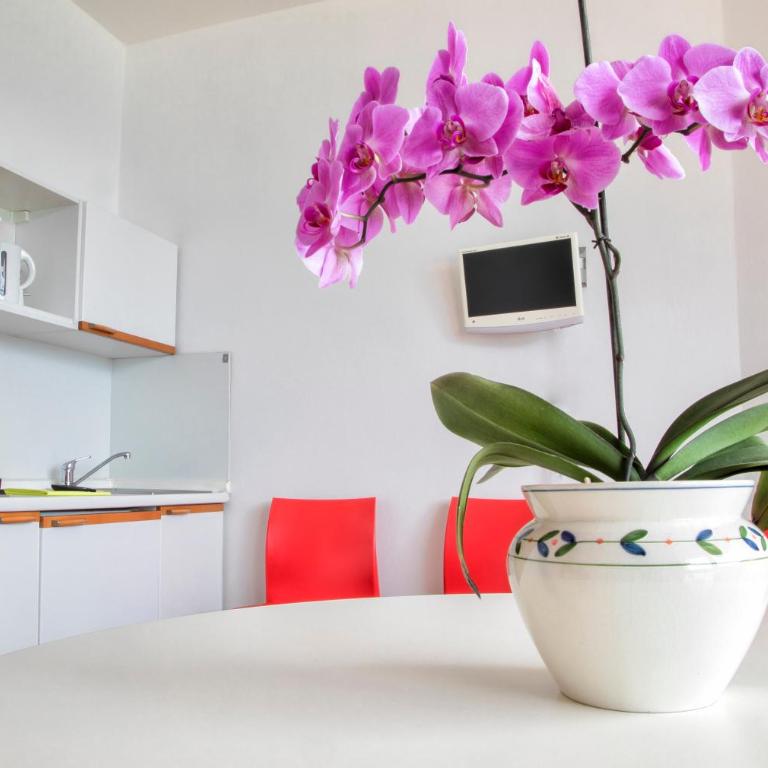 Appartamenti Wieland - Appartement 1 Chambre - 4